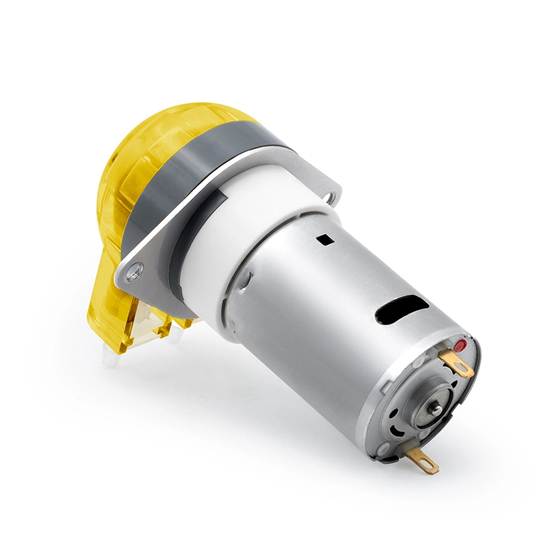مضخة أنبوبية بمحرك DC من نوع LFP102/DB (نطاق التدفق: 9-110 مل/دقيقة)